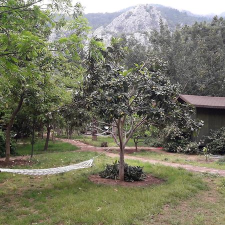 Kibala Hotel Çıralı Eksteriør bilde