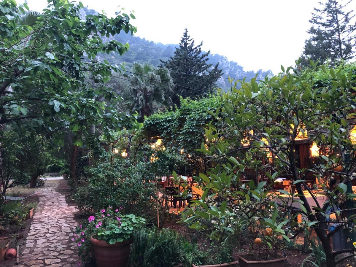 Kibala Hotel Çıralı Eksteriør bilde