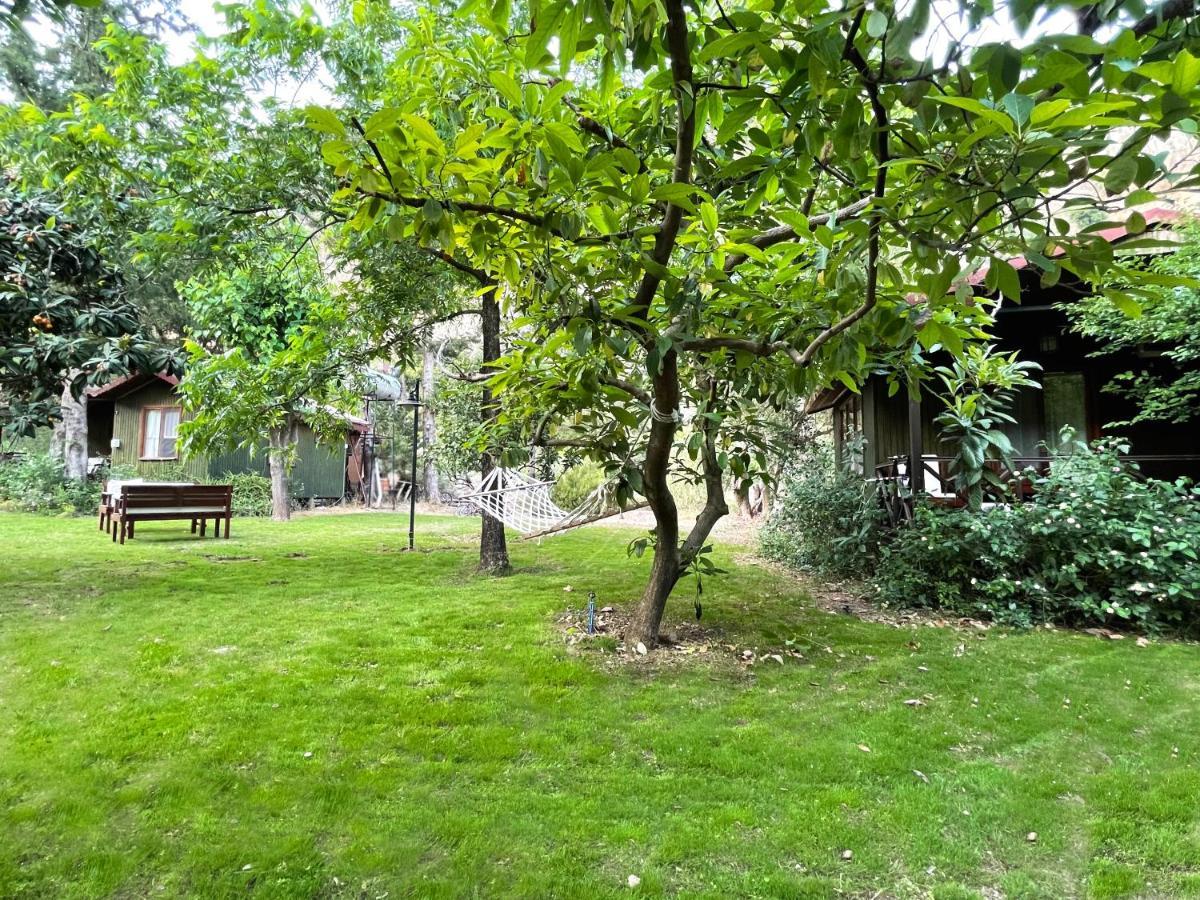 Kibala Hotel Çıralı Eksteriør bilde