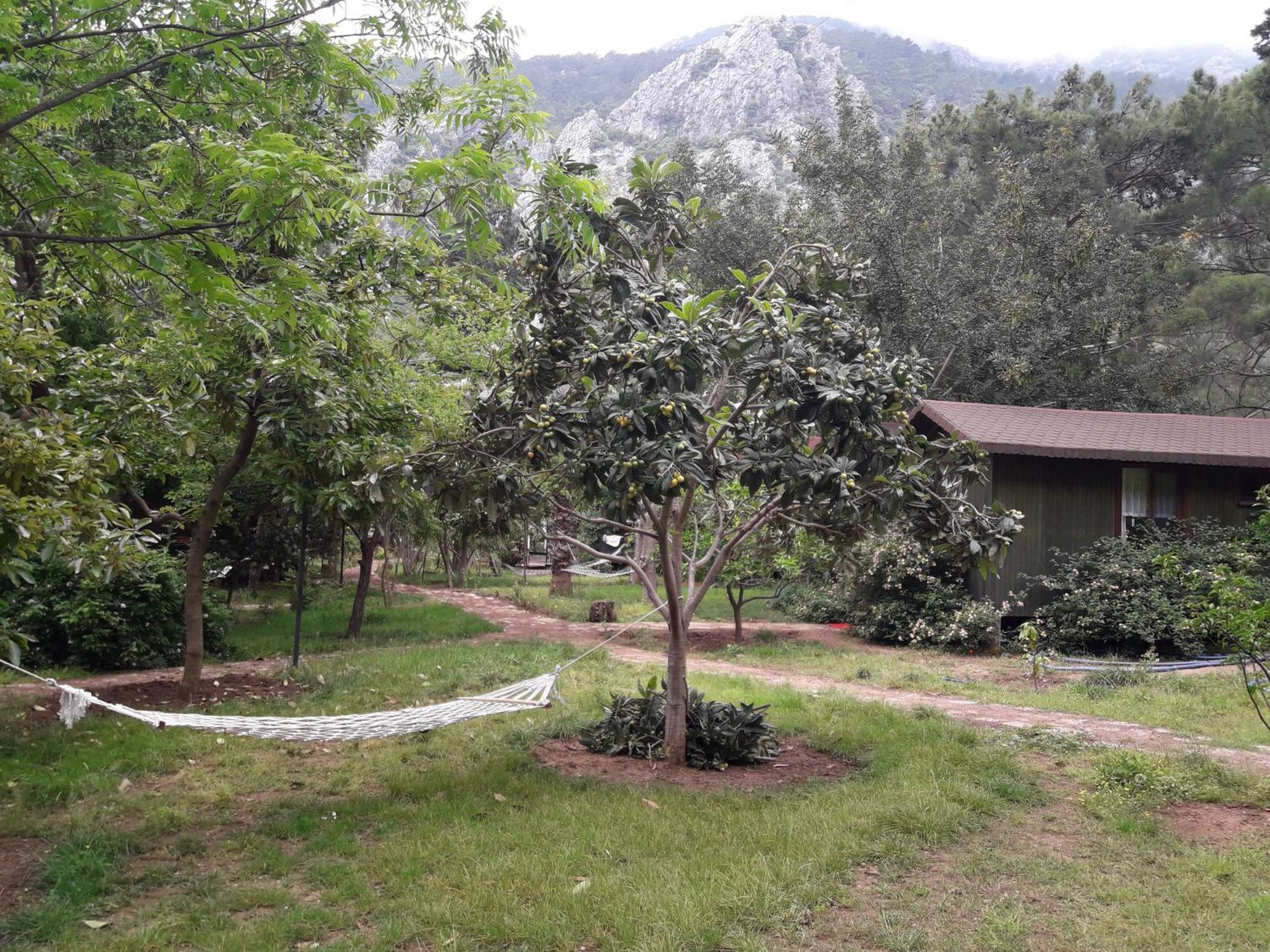 Kibala Hotel Çıralı Eksteriør bilde