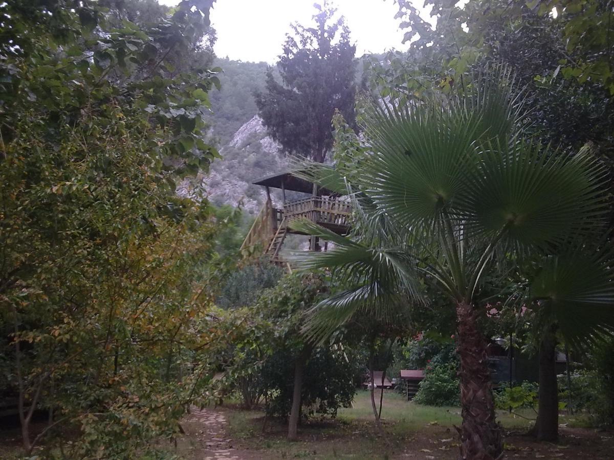 Kibala Hotel Çıralı Eksteriør bilde
